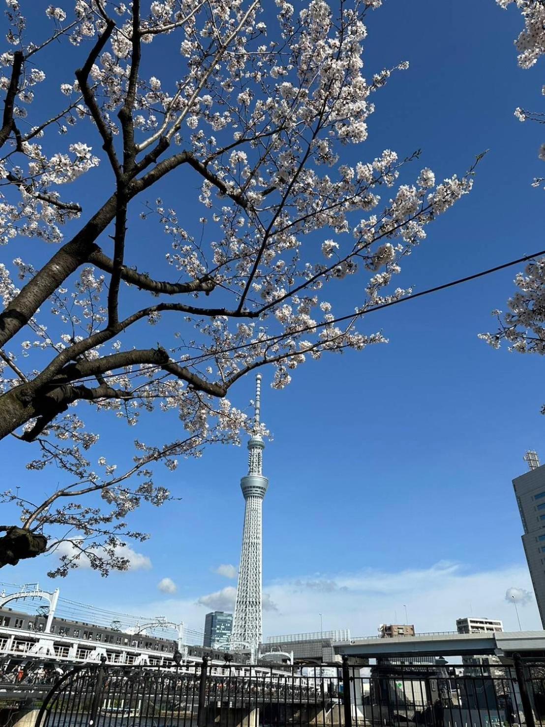 東京雷門ー千の森asakusa Tokio Exterior foto